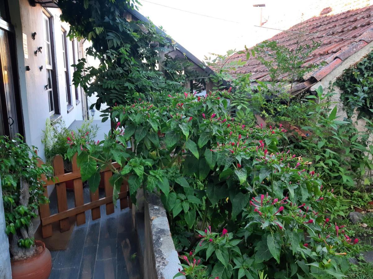 Casa Do Sr. Falcao Miranda do Corvo Exterior foto