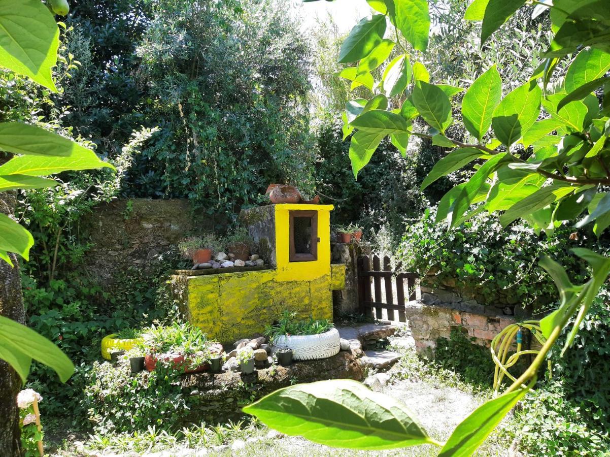 Casa Do Sr. Falcao Miranda do Corvo Exterior foto